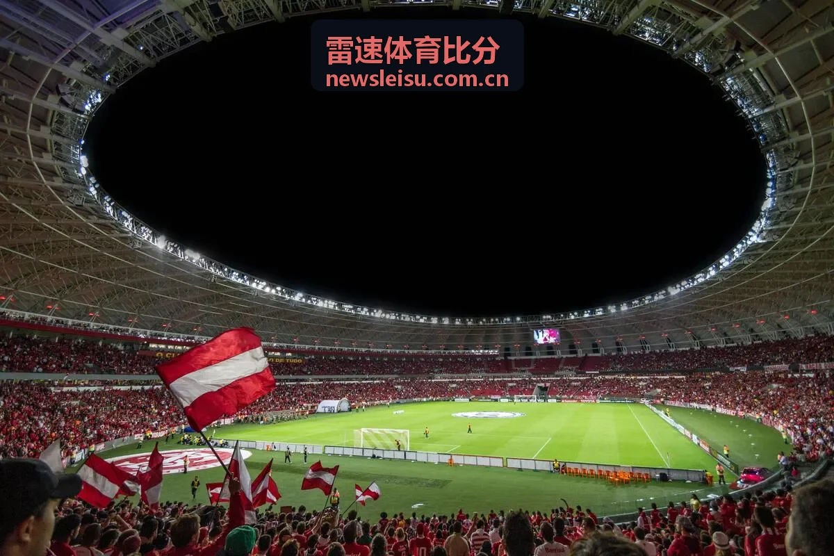雷速体育比分 - 法国国家队